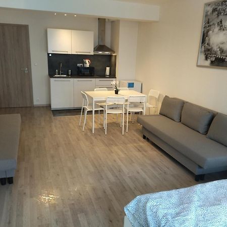 Brand New Studio Apartment #24 In Elite Residence With Free Secure Parking In The Center Prága Kültér fotó